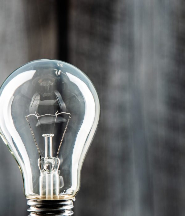 Classic light bulb on front of rustical wall.